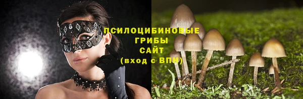 индика Ишимбай