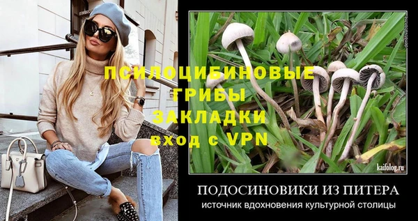 Альфа ПВП Бугульма