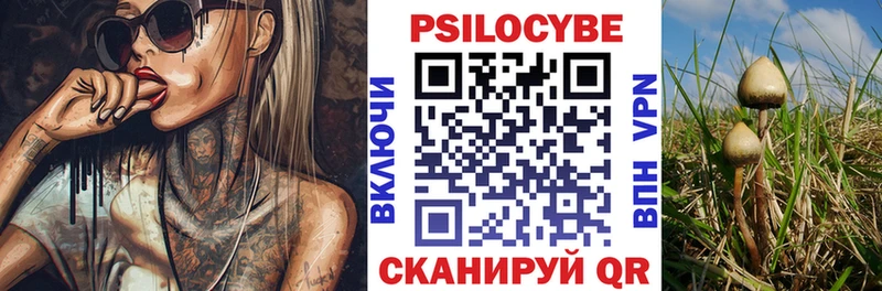 Галлюциногенные грибы прущие грибы купить сайты OMG ТОР Мариинский Посад